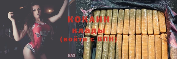 прущие грибы Белокуриха