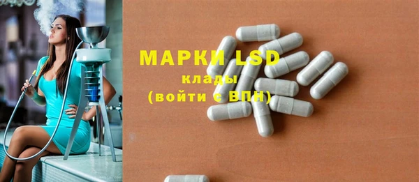 шишки Беломорск