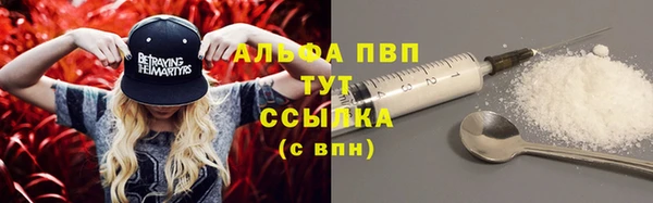 шишки Беломорск