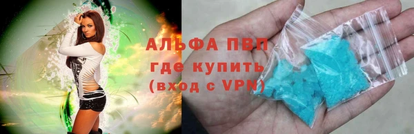 шишки Беломорск