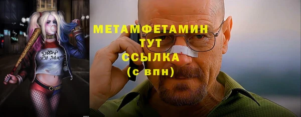 прущие грибы Белокуриха