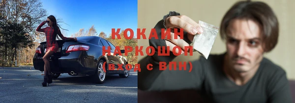прущие грибы Белокуриха