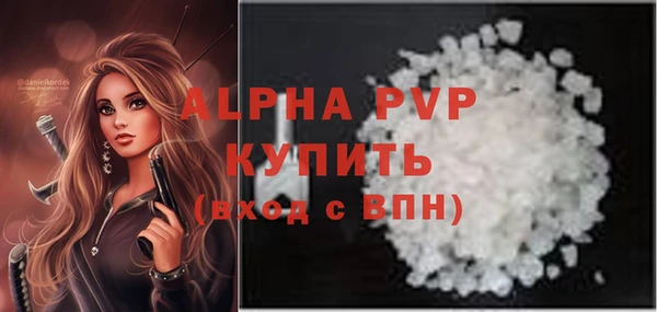 прущие грибы Белокуриха