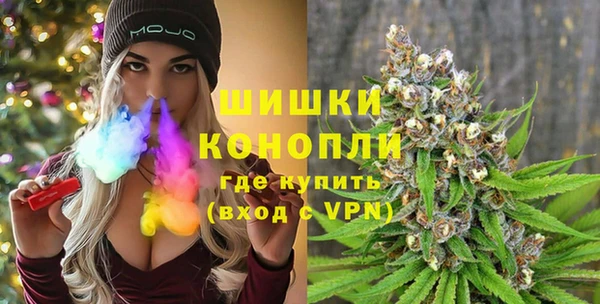 шишки Беломорск