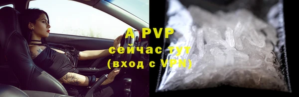 прущие грибы Белокуриха