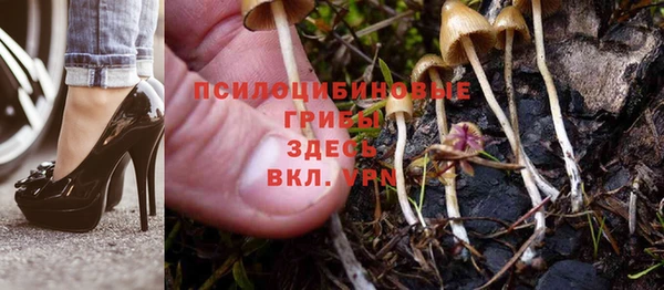 шишки Беломорск
