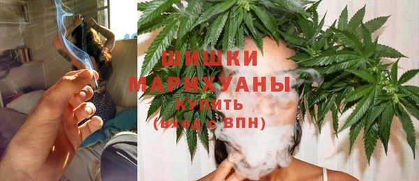 прущие грибы Белокуриха