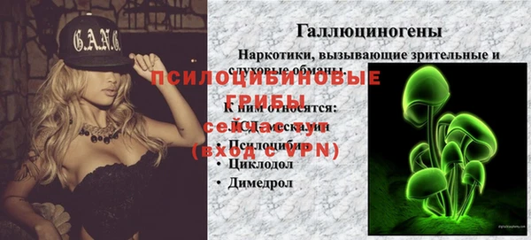 шишки Беломорск