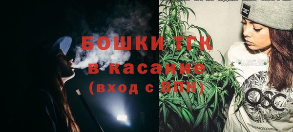 прущие грибы Белокуриха