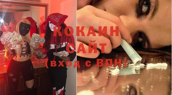 прущие грибы Белокуриха