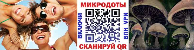 Псилоцибиновые грибы мицелий  Володарск 